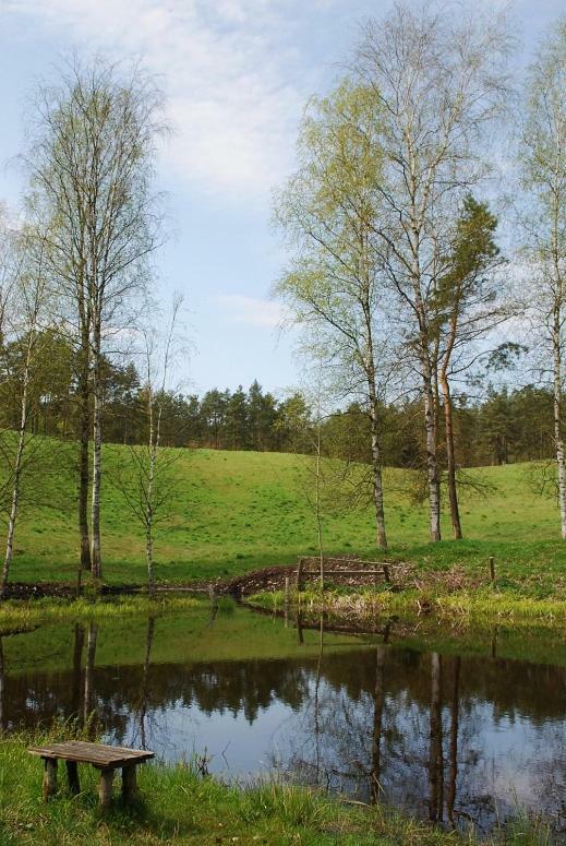 Pod Kogutkiem Villa Kruklanki Luaran gambar